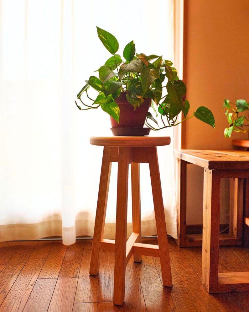 木製スツール 無垢材 シンプルなデザインの椅子
観葉植物と木製スツール ナチュラルインテリアの空間
無垢材のある暮らし
